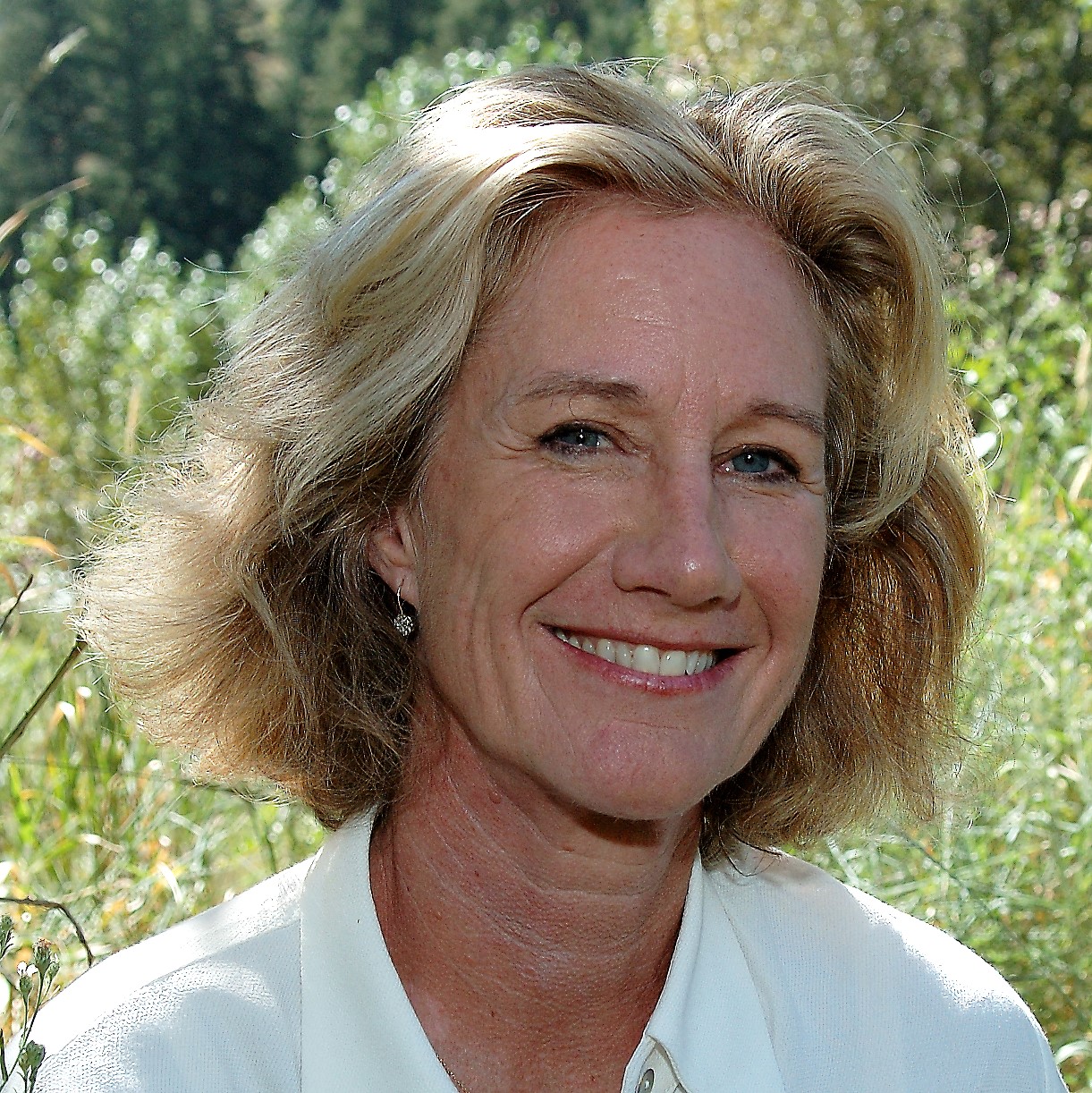 Anne taylor fleming essays 06 image