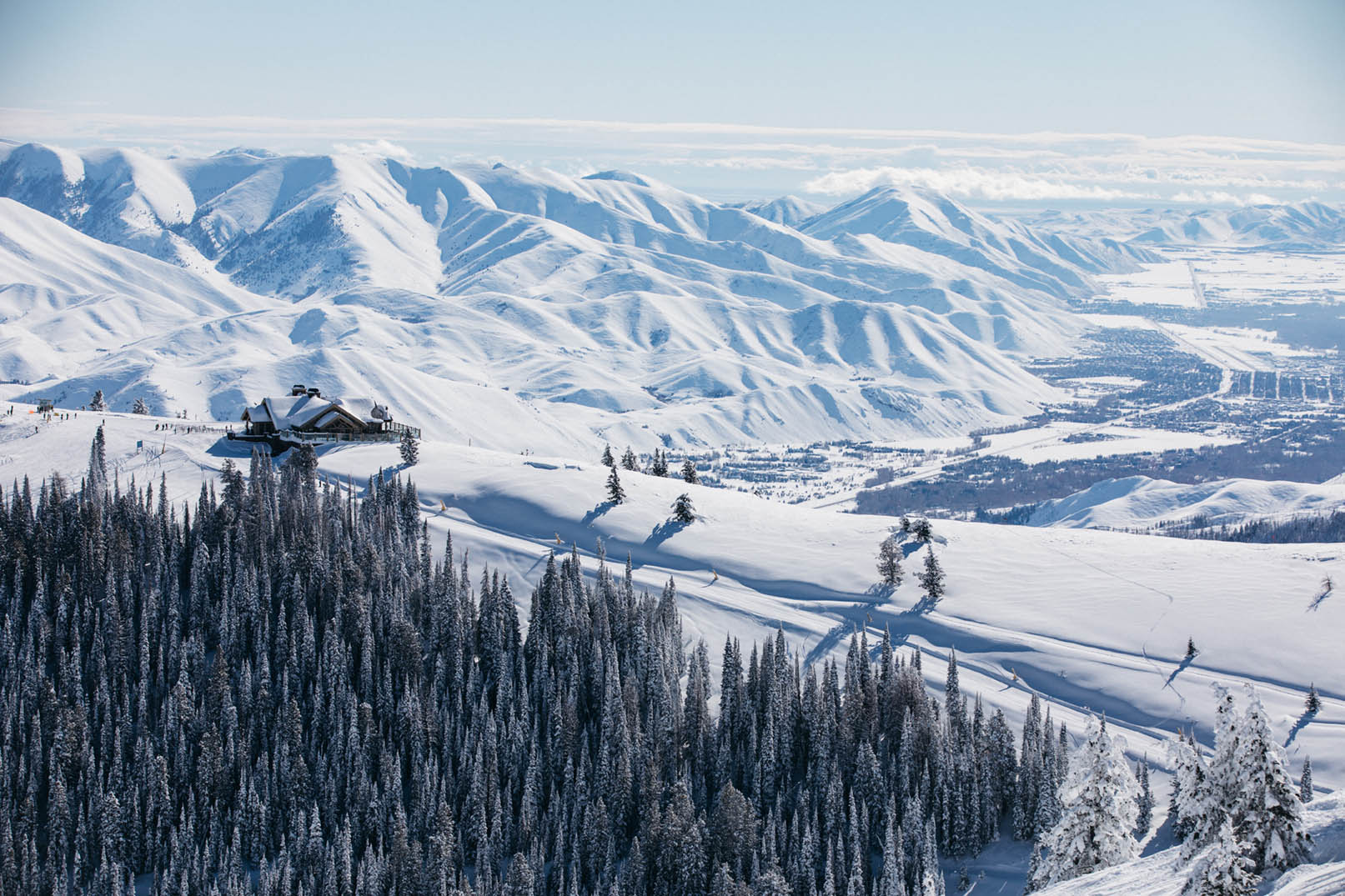 Introducing… SVWC Winter!